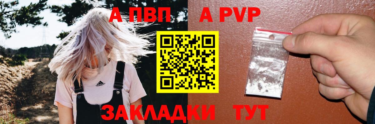 A PVP СК КРИС Ишим