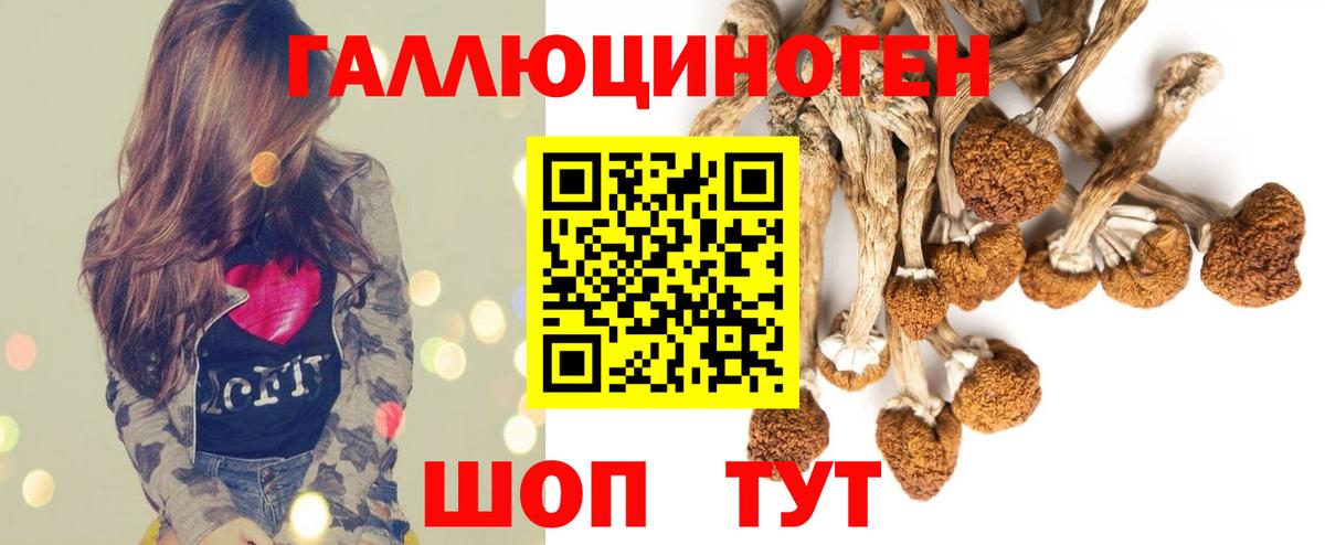 закладка  Вход с VPN  Ишим  Галлюциногенные грибы ЛСД 