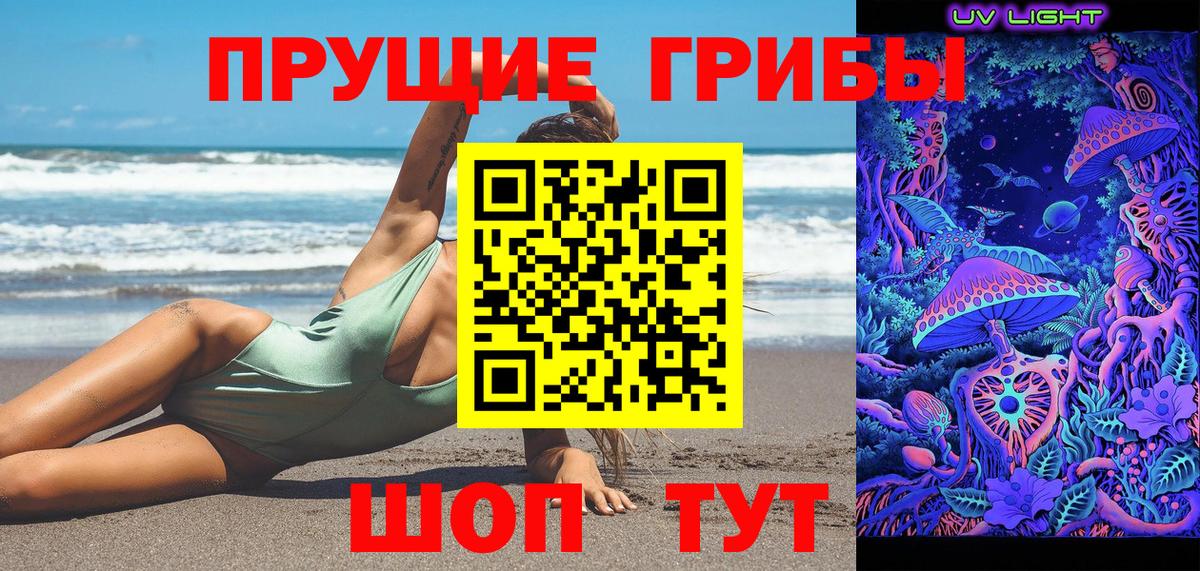 Галлюциногенные грибы Cubensis Ишим